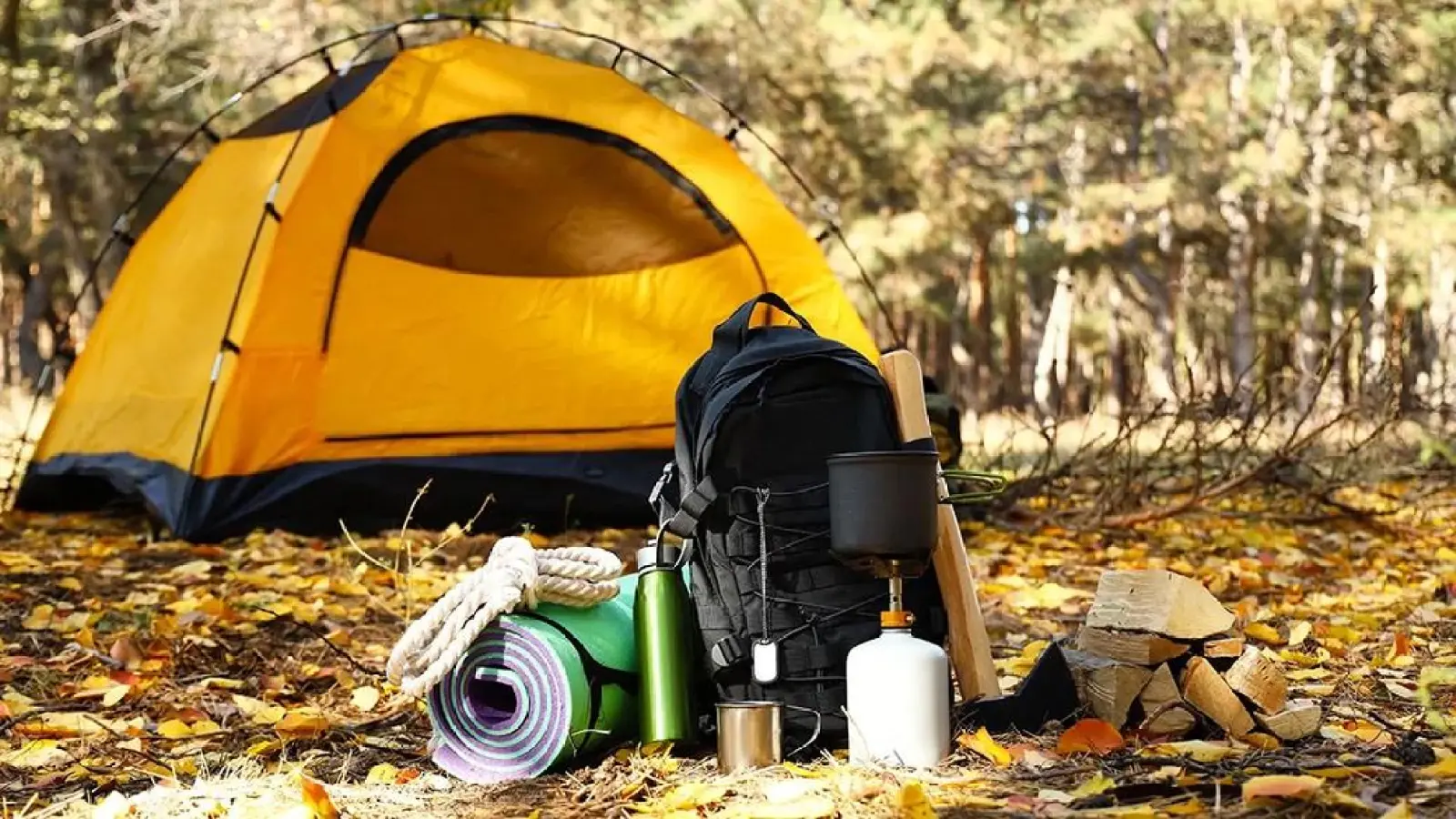 4 Best Camping Gear for Beginners in 2026